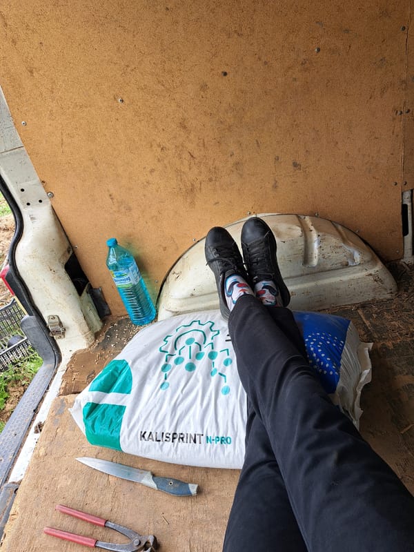 Social media activity captured in Chepintsi, Bulgaria morning hours
