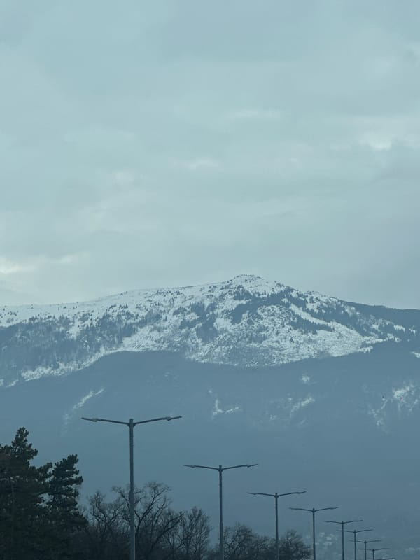 Sofia residents document snowy mountain views and neighborhood streets
