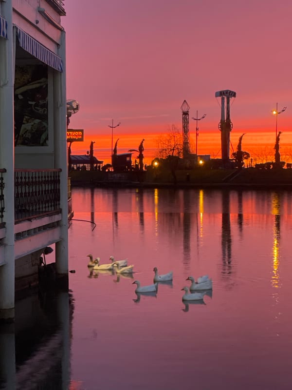 Dramatic sunset views captured across Batumi waterfront locations