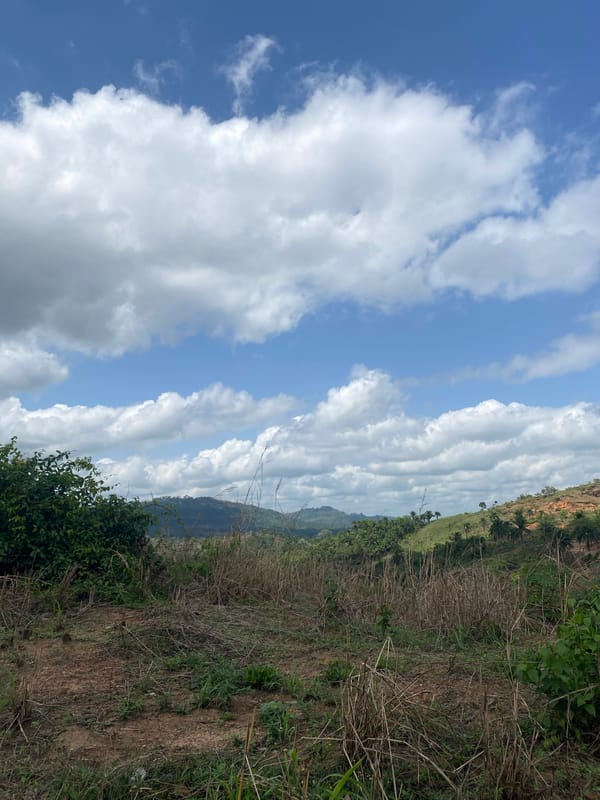 Children play with toy cars on dirt path in Nigeria