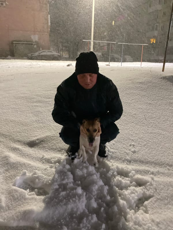 Cat rests on floor in Noviy, Russia