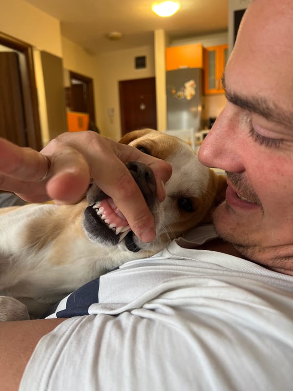 Everyday moments captured across Budva in single minute