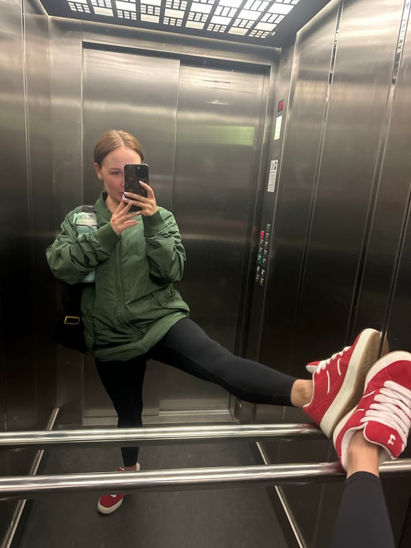 Cat on stone wall and elevator selfie in Budva