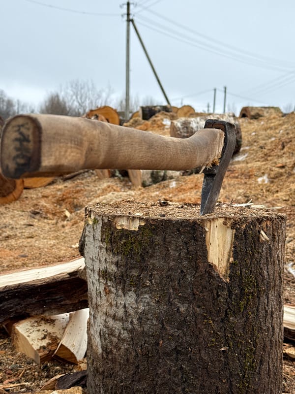 Morning wood splitting activity documented in rural Russia