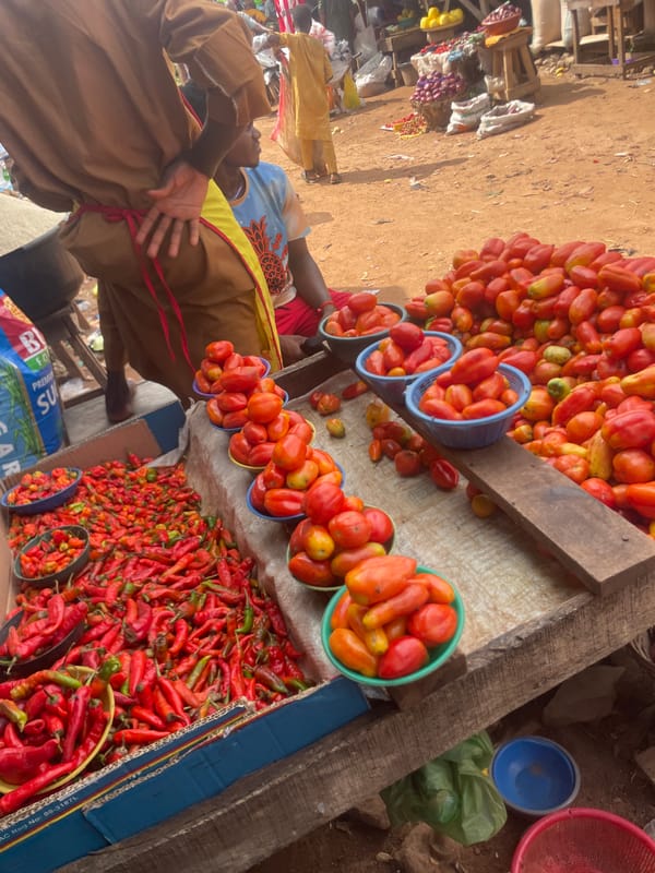 Fresh produce and dried goods fill a Lafia market