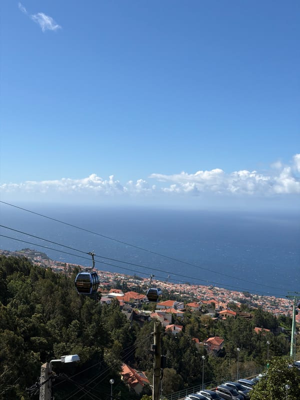 Aerial view of Funchal captured from cable car vantage point