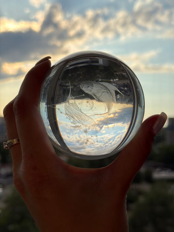 Person documents daily life: glass spheres, pet care, cooking