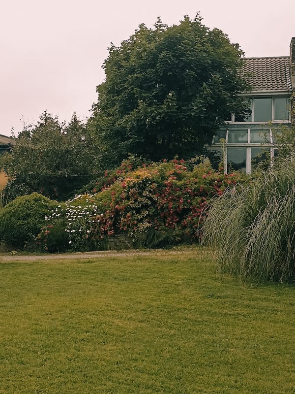 Annagry village in full bloom on a grey July evening