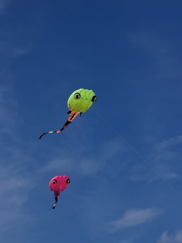 Kites, boards, and jet skis on a calm Vietnamese beach morning