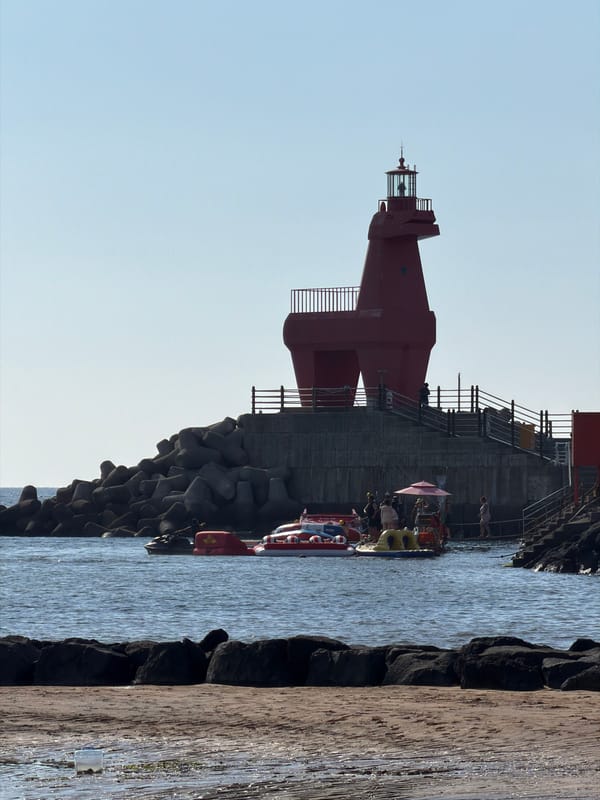 Sunny morning on Jeju's coast, beaches and tidal flats busy
