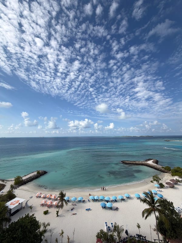 Everyday beach life and wildlife captured on Maldives island