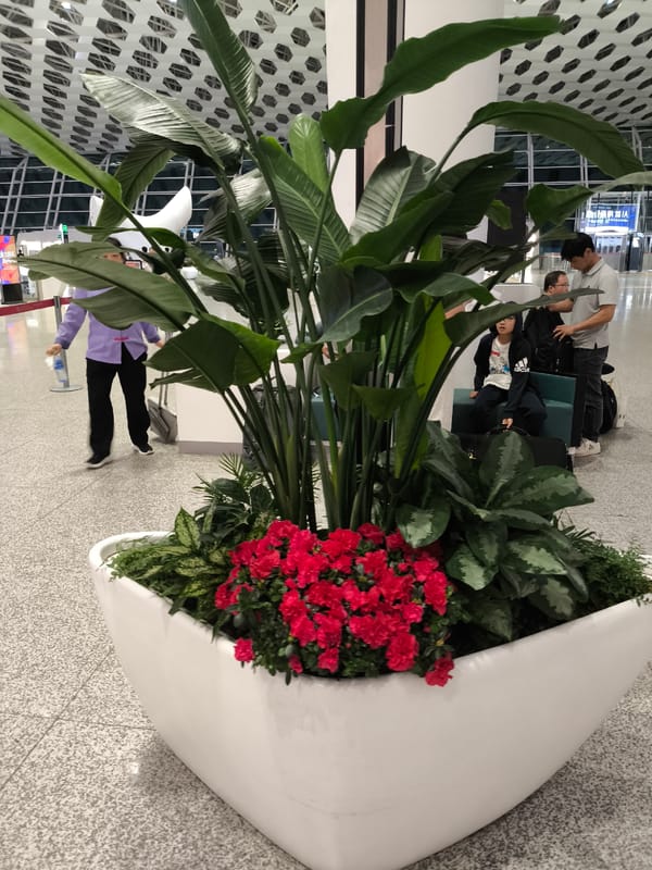 Commercial displays documented at Shenzhen Bao'an International Airport