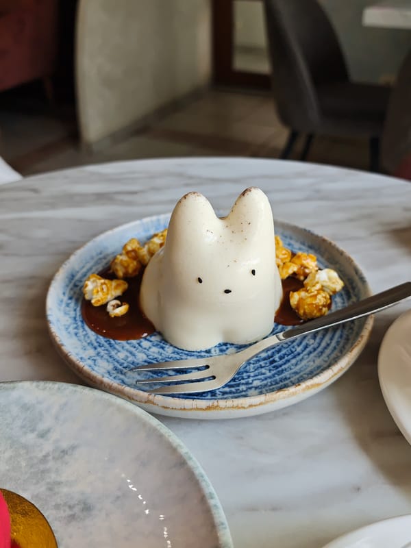 Cafe visit documented in Vinnytsia with decorative desserts