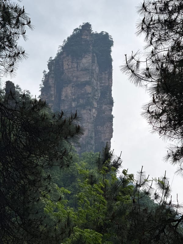 Layered rock formation documented in Luoguta forest landscape