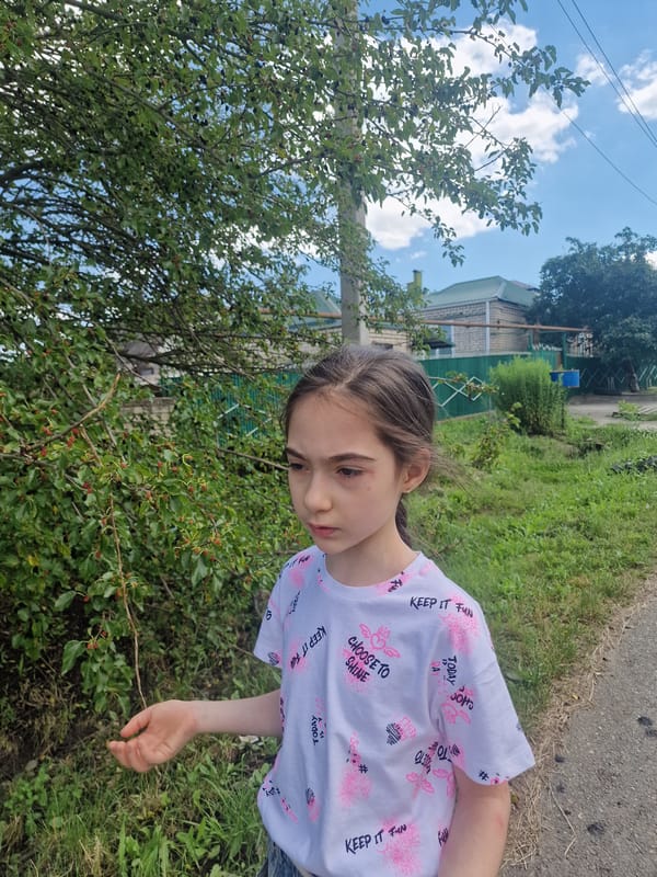 Quiet summer afternoon on the streets of Kursavka, Russia