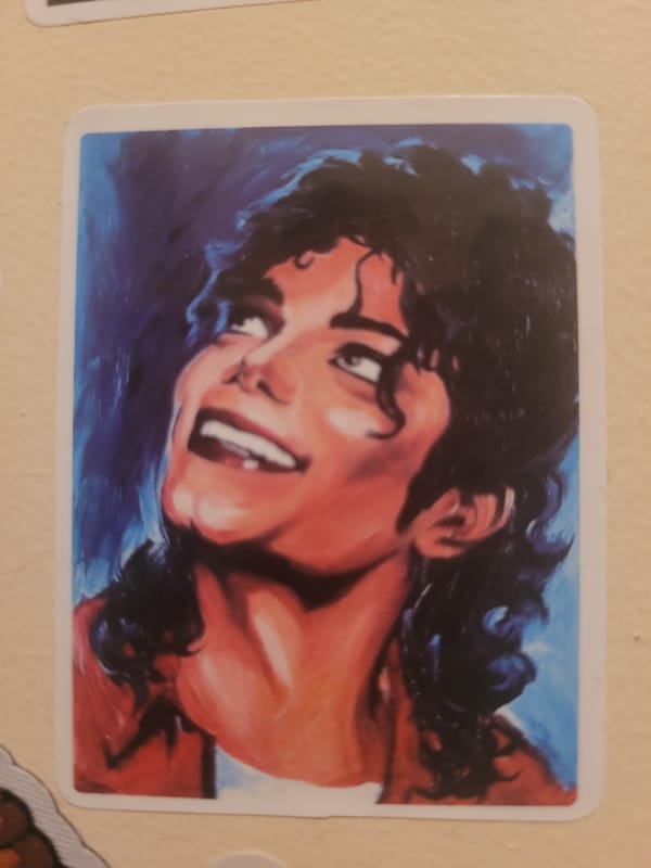 Michael Jackson stickers and cat photos documented in Izhevsk