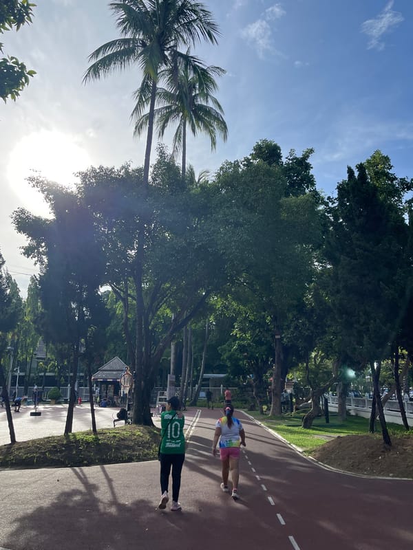 Outdoor yoga class in a Chiang Mai park on a sunny morning