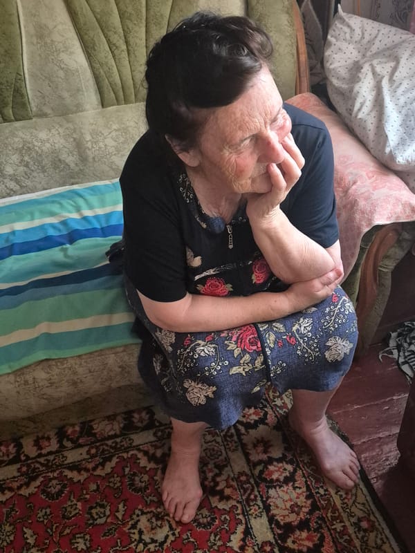 A relaxed summer evening at home in rural Sozonivka
