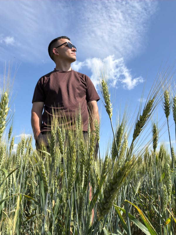 Posing in a Russian wheat field on a sunny summer morning