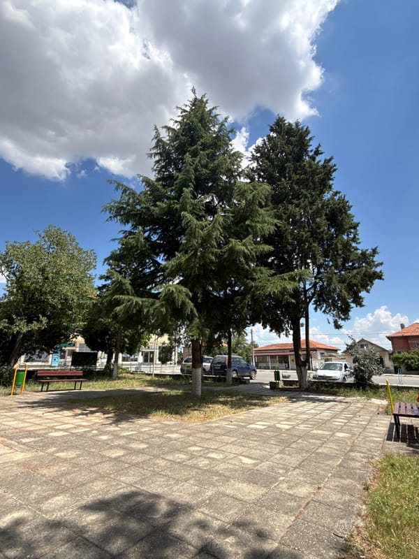 Lazy summer morning at a park in Vinarsko, Bulgaria