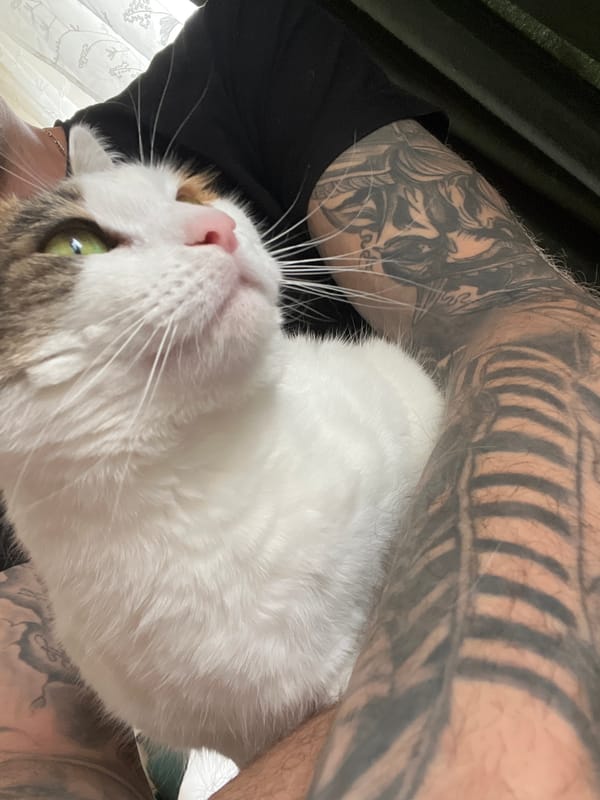 Man poses with white cat in Sofia selfie