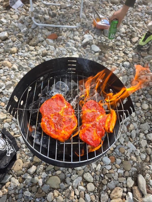 Riverside camping scene with fire pit and chairs observed