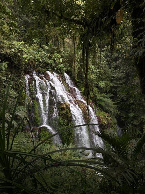 Tropical waterfall documented in Sukasada rainforest, Indonesia