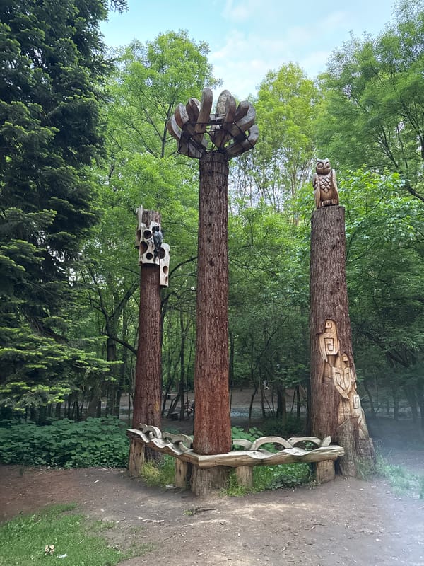 Carved wooden art installation spotted in Sofia park
