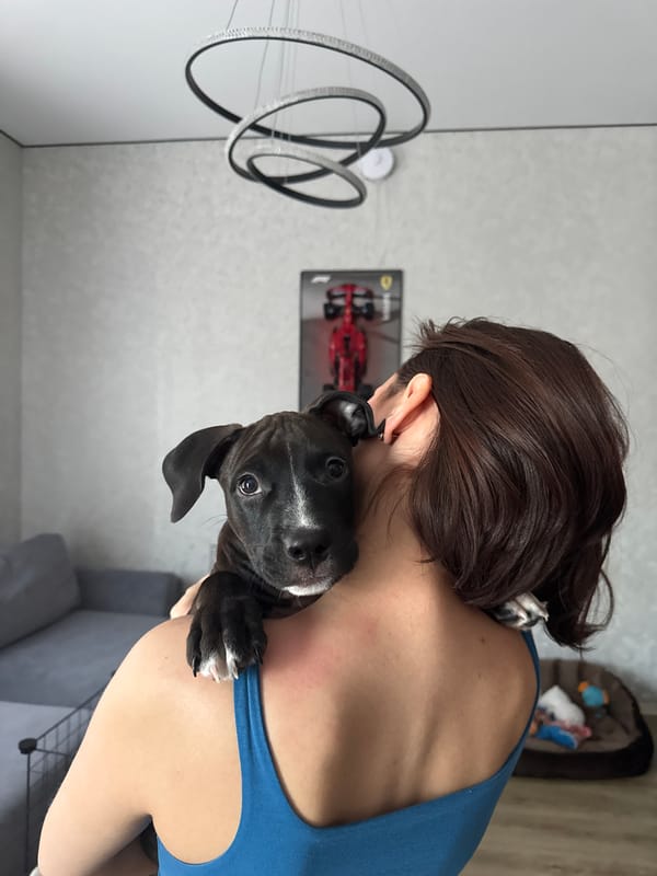 Dogs and F1 model photographed in Russian village
