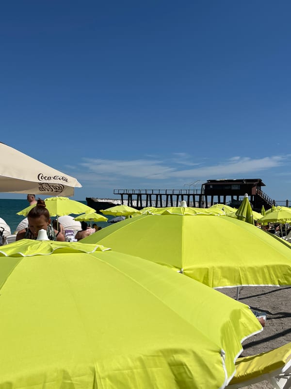Summer afternoon across Odesa's beach, theater, and gardens