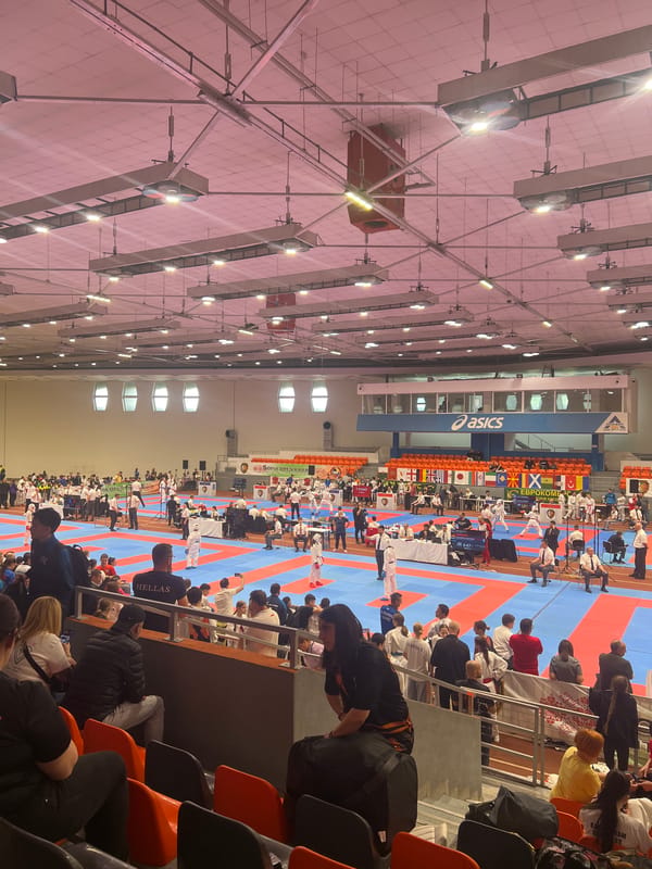 Indoor sports competition draws crowds in Sofia arena