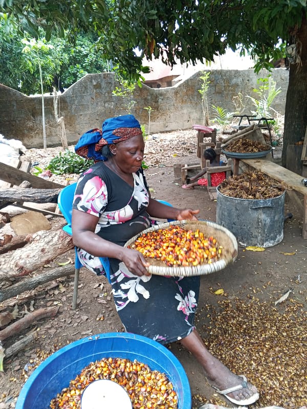 Elderly woman with fruit tray observed in outdoor setting