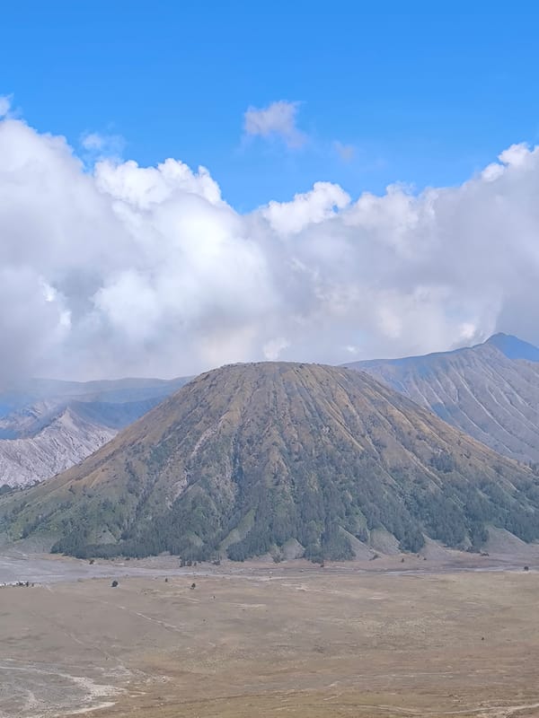 Multiple angles on Cemorolawang's volcanic plains and hillside village