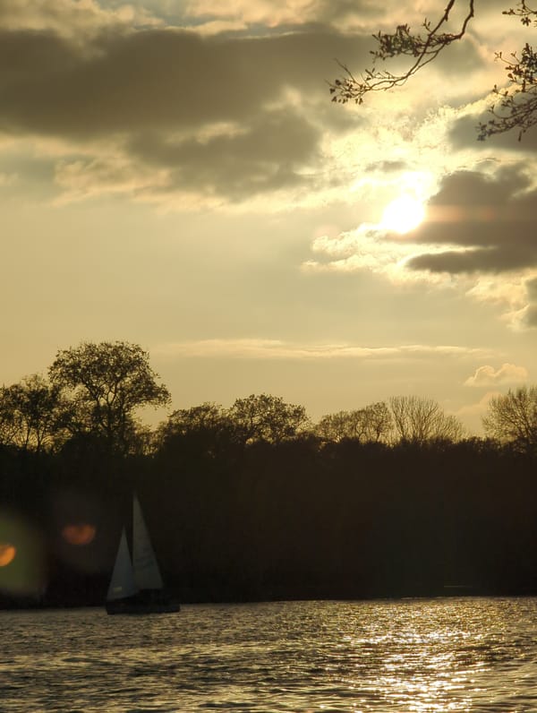 Golden hour lighting observed over Berlin waterway