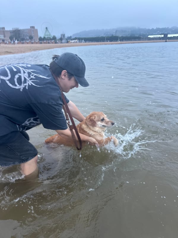 Wading and playing with a dog at Gijón's waterfront