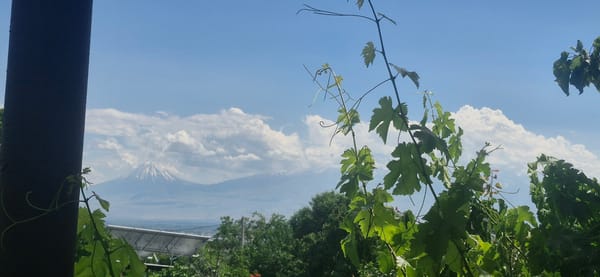 Art, greenery, and a slow morning in Yerevan