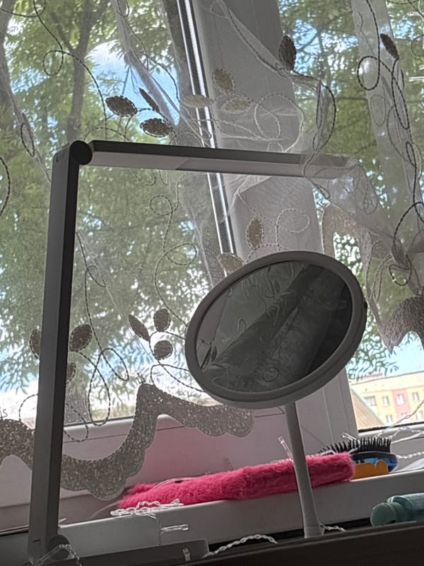 Pigeon visits apartment windowsill in Minsk