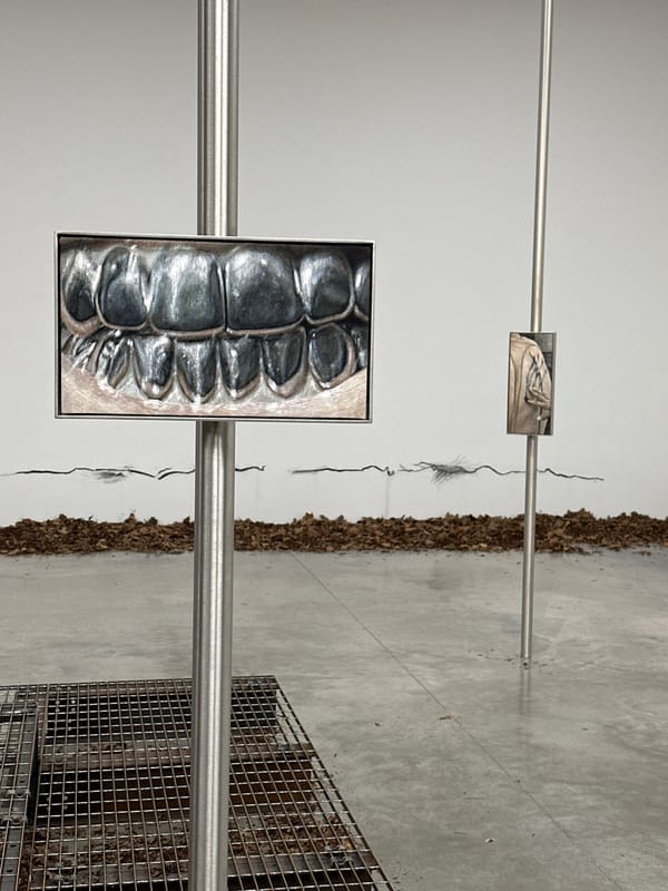 London art gallery tour captures contemporary exhibitions across city