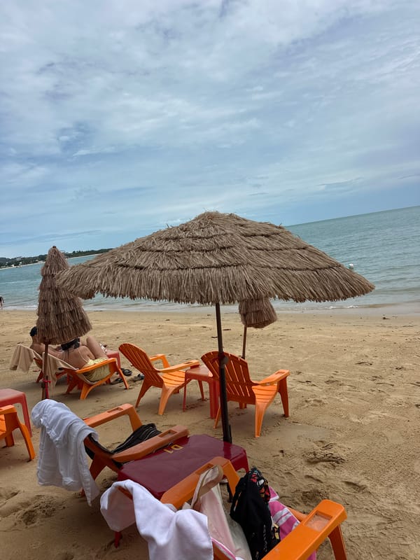 Laid-back Ko Samui beach with rentals, loungers, and calm water