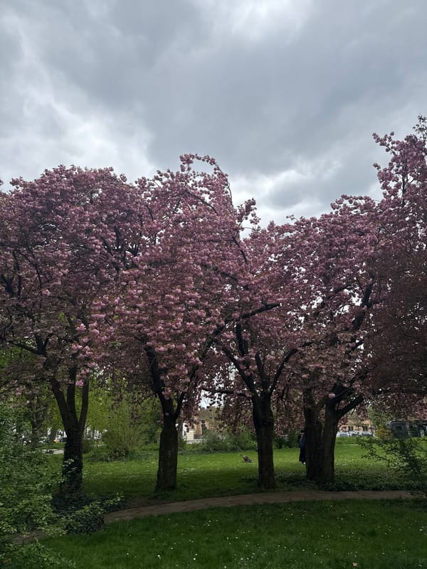 Spring park scenes captured in Ludwigsburg, Germany