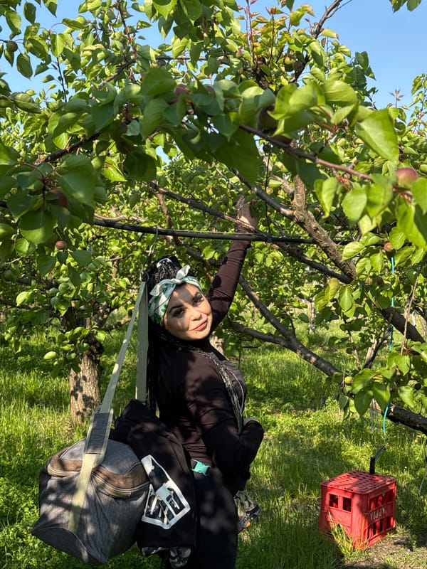 Woman rests in hammock beneath fruit tree in Trinitapoli