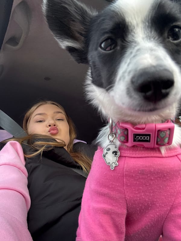Woman and dog wear matching pink sweaters in Russia