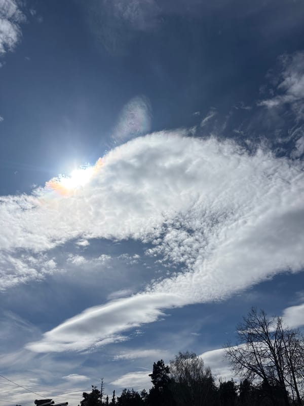 Spring day documented across rural Раздолье, Russia