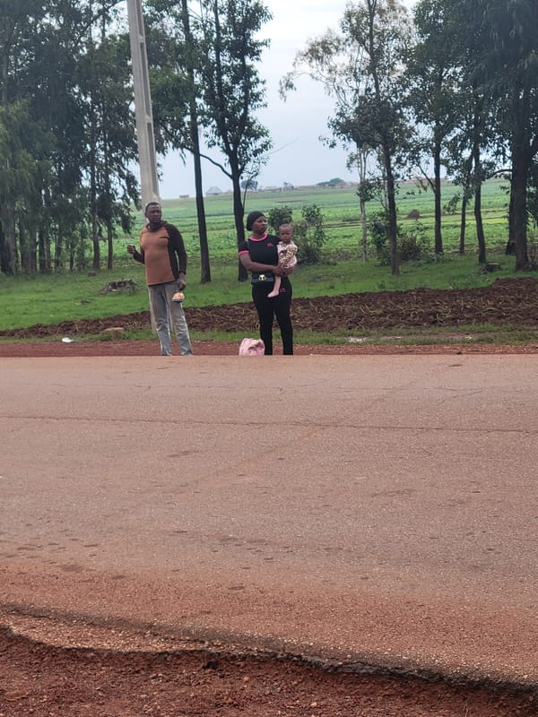 Rural roadside activity near construction zone