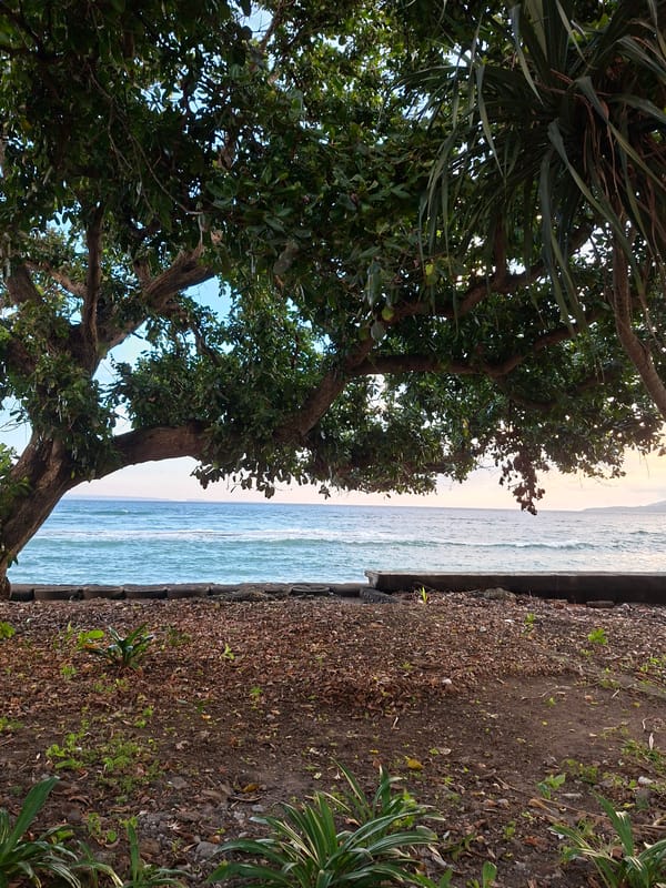 Morning tropical scenes documented across Karangasem, Indonesia coastline
