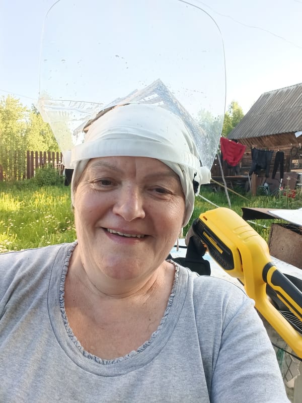 Rural Russian village life documented through garden scenes, homes