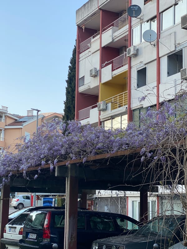 Woman captures everyday moments with cat in Budva, Montenegro