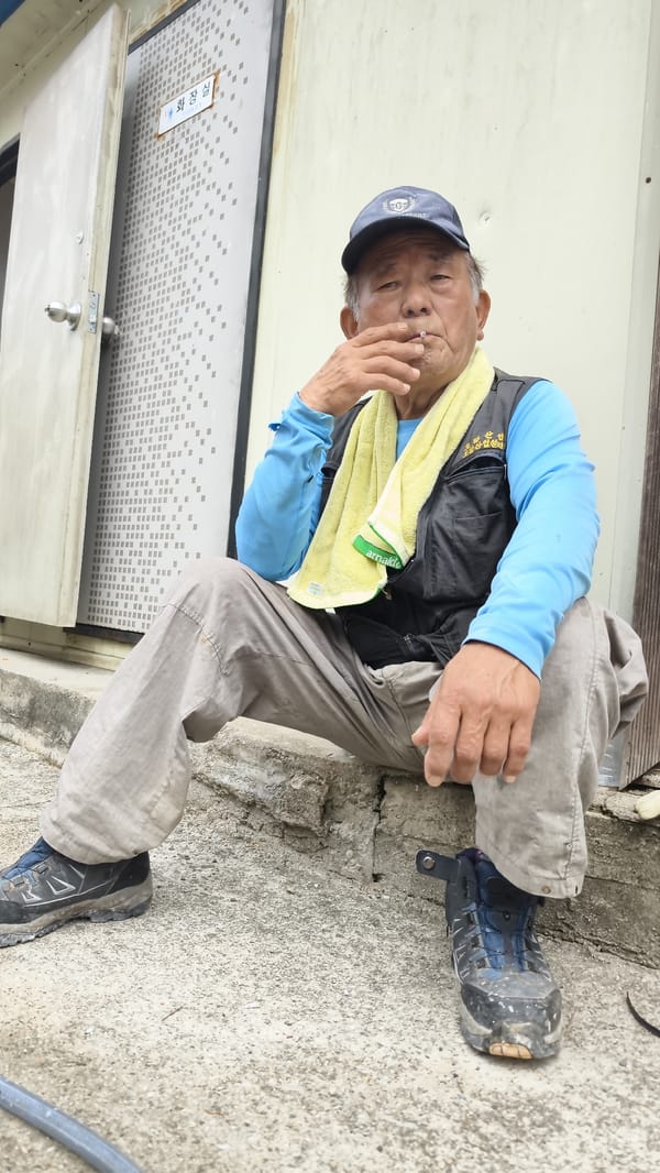 Trench digging and concrete cutting at a Sejong work site