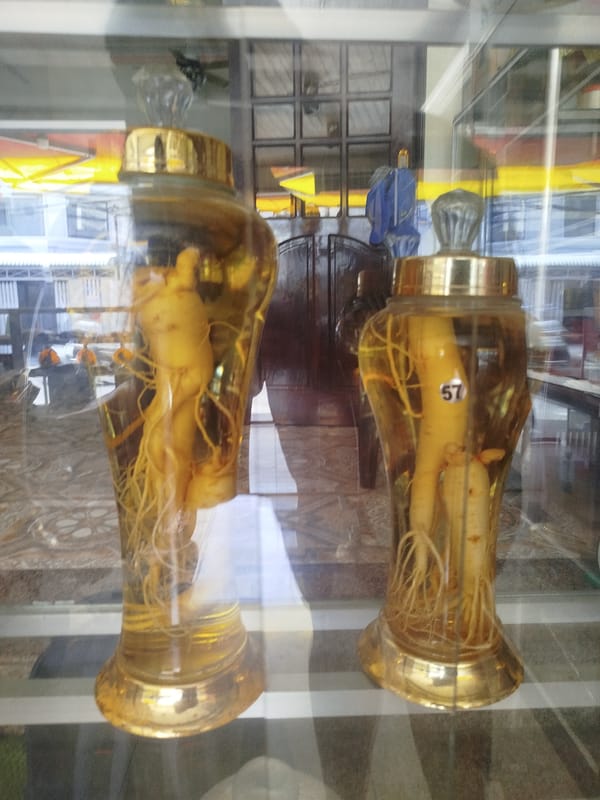 Traditional Buddhist garden displays documented in Ho Chi Minh City