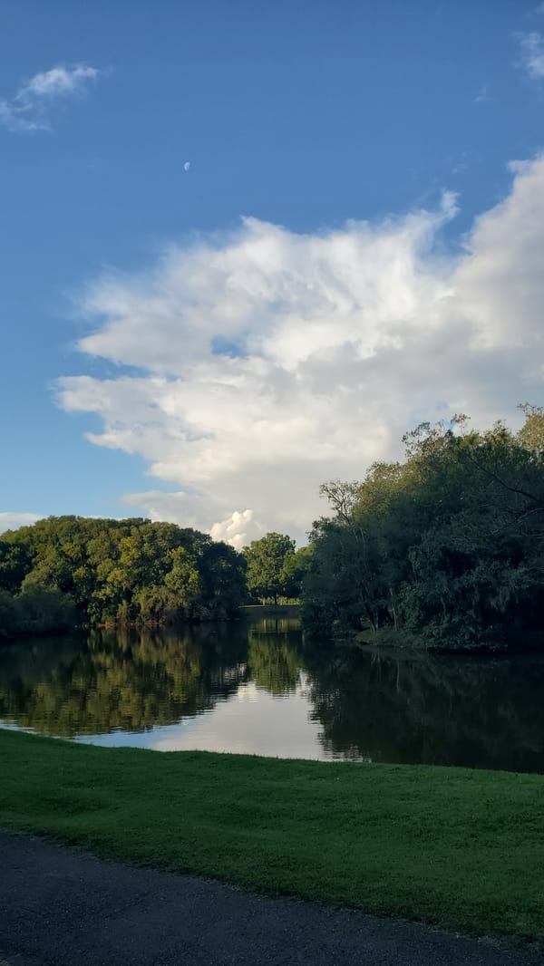 Peaceful evening scenes captured at two Curitiba parks